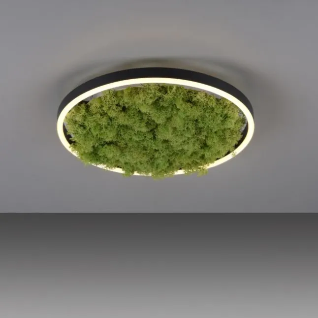 JUST LIGHT LED Deckenleuchte GERDA RITUS 40x40 Island Moos Switchmo 3 Stufen Dimmung