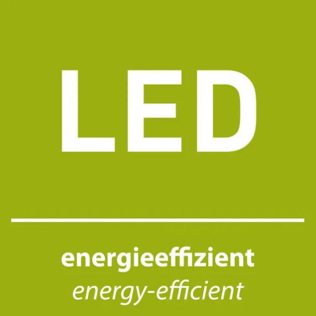 LED Deckenleuchte 2 flammig schwarz Spot drehbar zeitloses Design