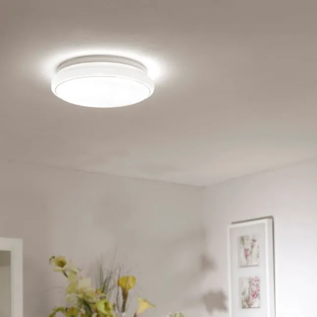LED Deckenleuchte, Smart Home, RGB Farbwechsel, dimmbar, Lichtfarbsteuerung