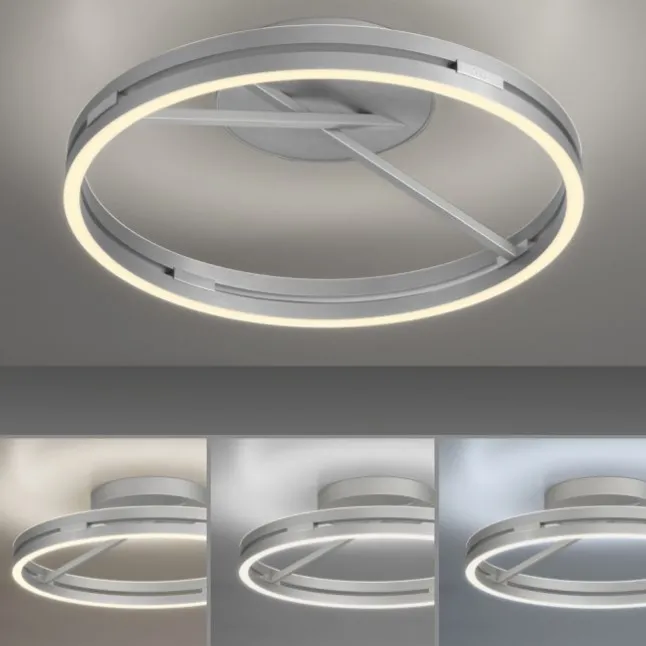 Paul Neuhaus LED Deckenleuchte PURE Loop stone (alu) Fernbedienung
