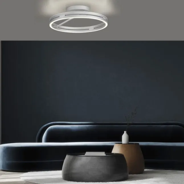 Paul Neuhaus LED Deckenleuchte PURE Loop stone (alu) Fernbedienung