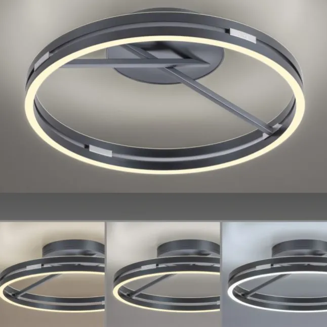 Paul Neuhaus LED Deckenleuchte PURE Loop mystic grey Fernbedienung