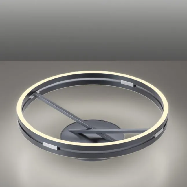 Paul Neuhaus LED Deckenleuchte PURE Loop mystic grey Fernbedienung