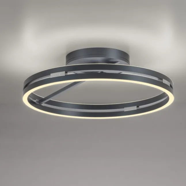 Paul Neuhaus LED Deckenleuchte PURE Loop mystic grey Fernbedienung