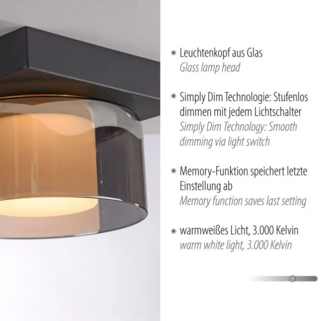 Paul Neuhaus LED Deckenleuchte 1 flammig dimmbar per Switchmo