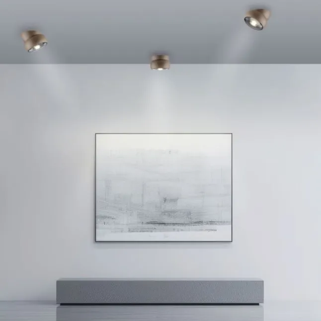Paul Neuhaus LED Deckenleuchte PURE Move, bronce, Tronicdimmer, dreh- und schwenkbar