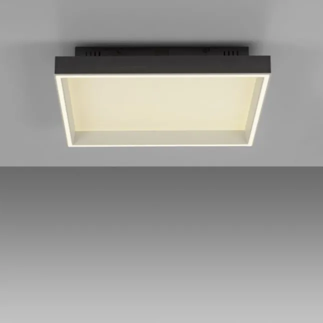 Paul Neuhaus LED Deckenleuchte Q-MAGONG schwarz Smarthome App dimmbar
