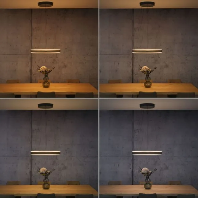 Paul Neuhaus LED Pendelleuchte PURE E-Loop oak/ black pearl elektrisch