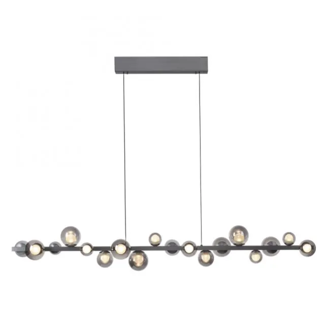 Paul Neuhaus LED Pendelleuchte PURE E-Popup,platin (grau), elektrisch höhenverstellb., dimmbar