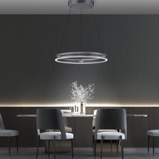Paul Neuhaus LED Pendelleuchte PURE E-Loop mystic grey (grau) elektrisch