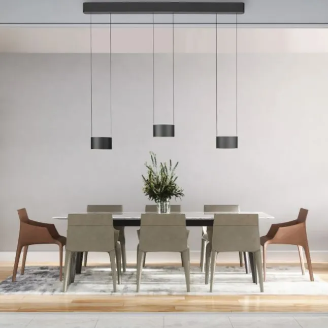 Paul Neuhaus LED Pendelleuchte PURE Clipse, platin (grau), Fernbedienung, Comfort Lift, Memoryfunktion