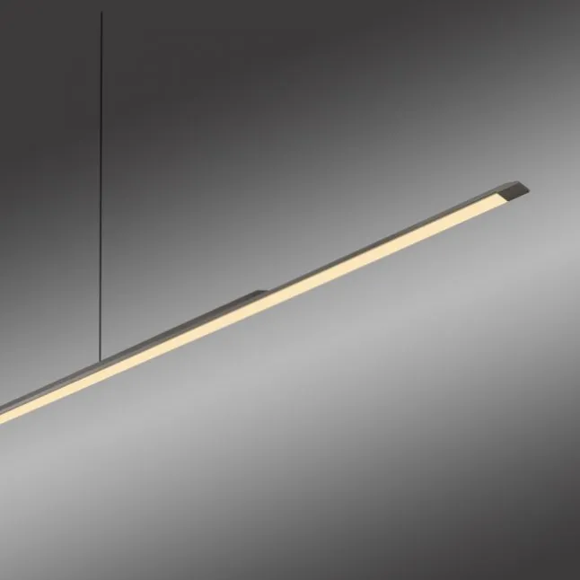 Paul Neuhaus Pendelleuchte PURE Surface platin (grau) 160x25 höhenverstellbar