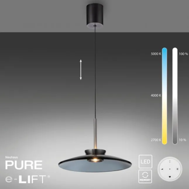 Paul Neuhaus PURE E-Moon Pendelleuchte platin (grau) elektrisch Fernbedienung