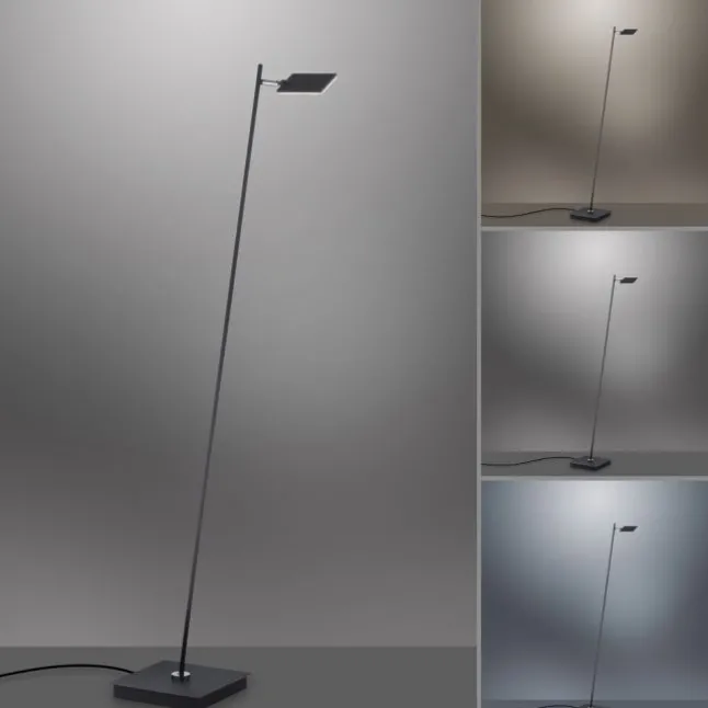Paul Neuhaus PURE Mira LED Stehleuchte black pearl dimmbar Fußbschalter