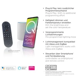 Paul Neuhaus Q ETIENNE LED Stehleuchte Smart Home schwarz dimmbar CCT