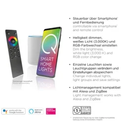 Paul Neuhaus, Q-FISHEYE, LED-Pendelleuchte, silber, dimmbar, Smart Home