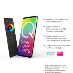 Paul Neuhaus, Q-SPIDER, Verbinder, Lichtfarbsteuerug, Smart-Home