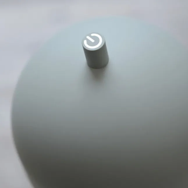 Schöner Wohnen-Kollektion LED Akku Tischleuchte BELLIES, Frühlingserwachen, aufladbar, USB-Ladekabel